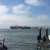 San Francisco Trip