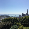 San Francisco Trip
