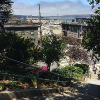 San Francisco Trip