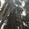 San Francisco Trip