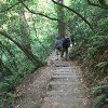 San Francisco Trip