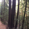 San Francisco Trip