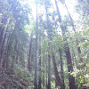 San Francisco Trip
