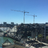 San Francisco Trip