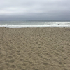 San Francisco Trip