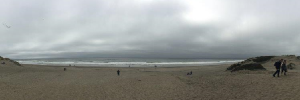 San Francisco Trip