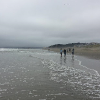 San Francisco Trip