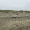 San Francisco Trip