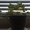 Spring 2016 photos